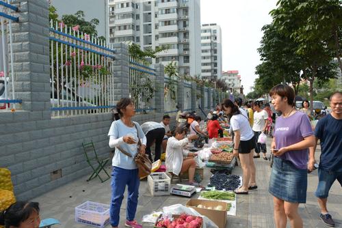 韩城市时令果蔬临时售卖点都在哪?
